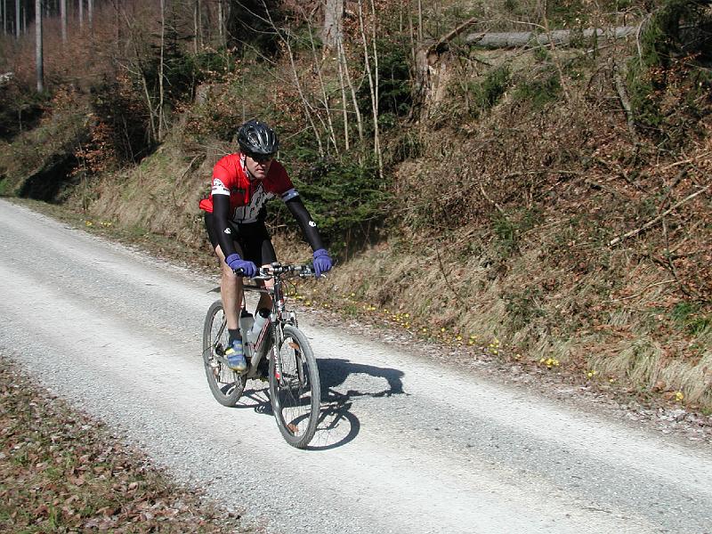 113Bent.Fischbachtal.jpg