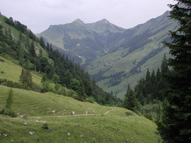 722Abfahrt.Mantschenalm.jpg
