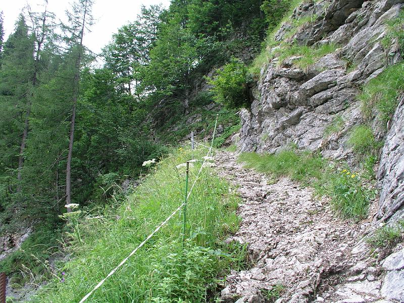 723Abstieg.Mantschenalm.jpg
