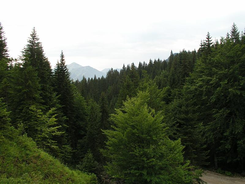 737Klammbachtal.Achenwald.jpg
