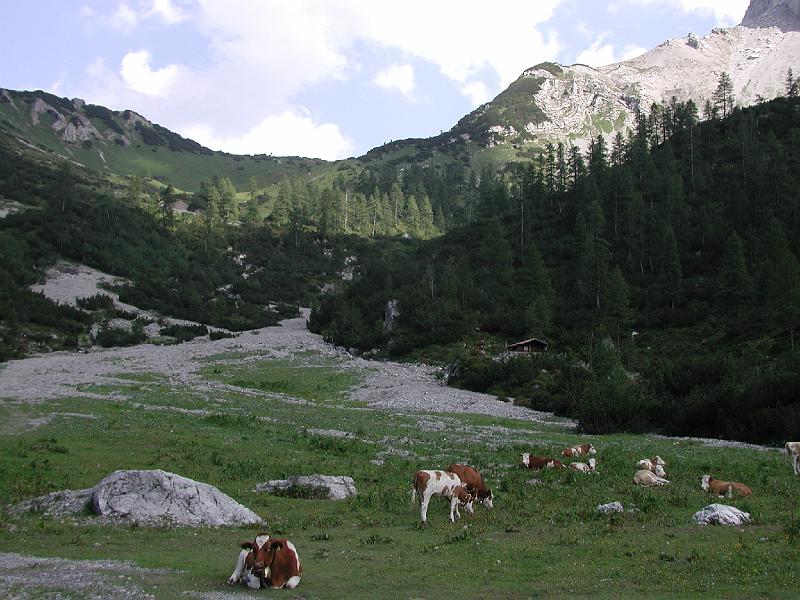 840Binsalmhochleger2Lamsenjoch.jpg