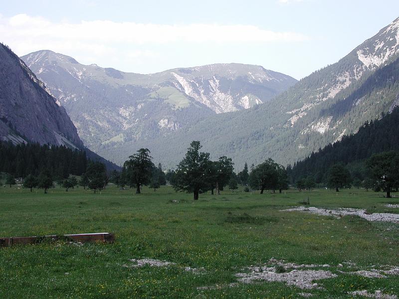 847Ahornhain.GrosserAhornbogen.jpg