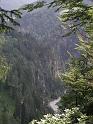 774Ausblick2Grundache