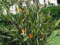 525_SanRemo_P5170028