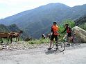 696_SanRemo_P5180007_2