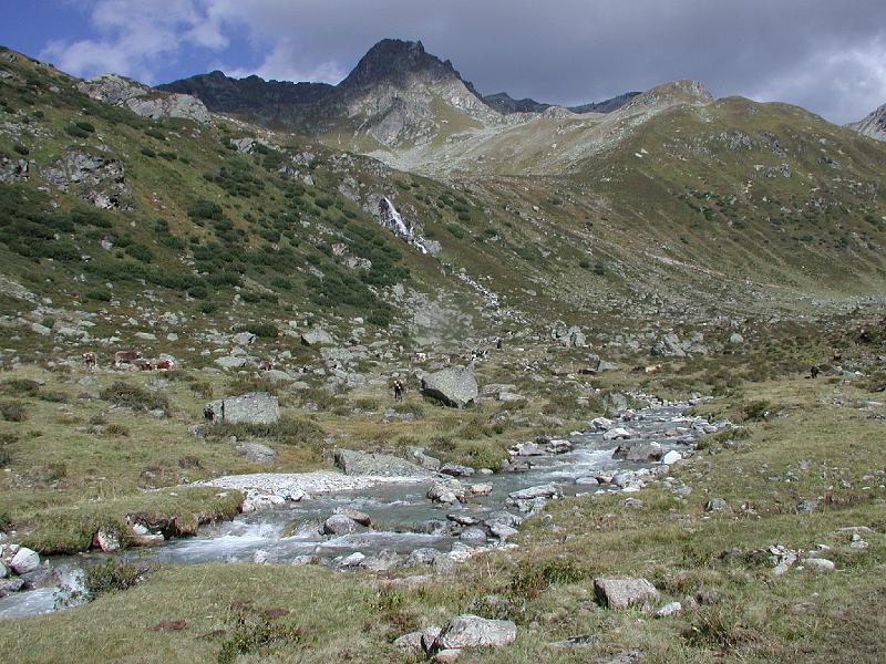 536Schlappintal2Carnaeira.jpg