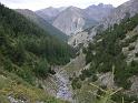 475BlickAlpisella2Livigno