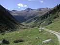 533Rueckblick2Schlappin2Madrisahorn