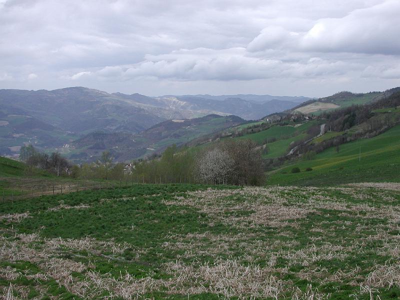 128Blick2ValBidente.Spinello.jpg
