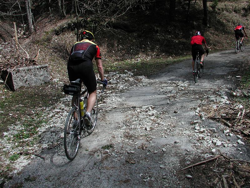 159SchlechterWeg.MonteCarpegna.jpg