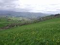 127Blick2ValBidente.Spinello