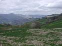 128Blick2ValBidente.Spinello