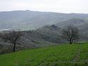 153Blick2MonteCarpegna.Peroto