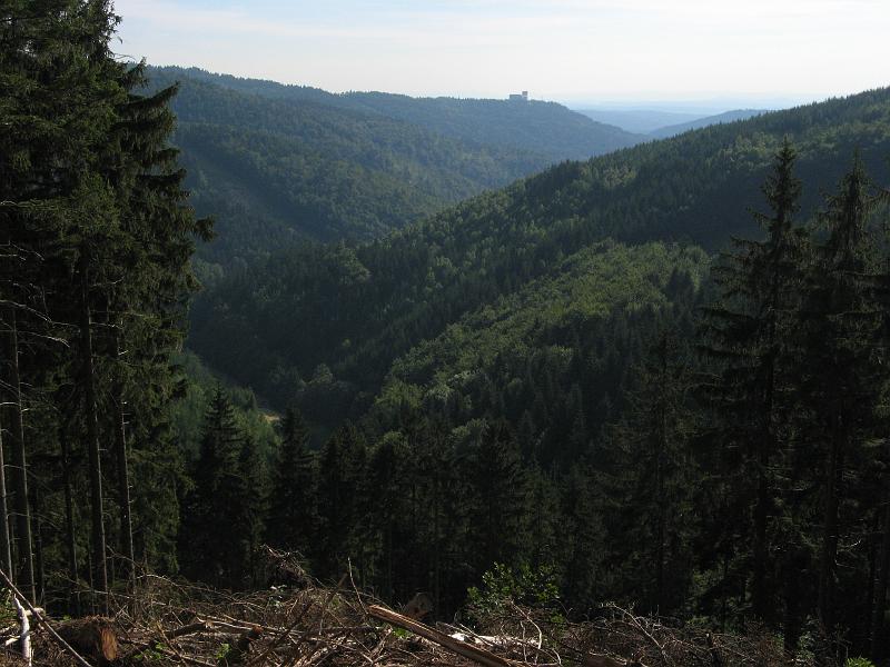 561Aussicht2Ringberg.SchmiedefelderWeg.jpg