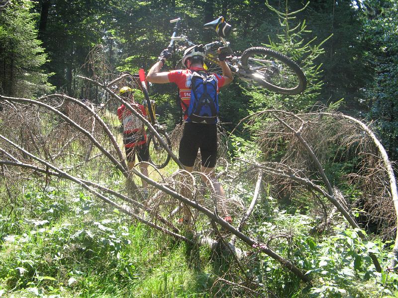 573Joe.Tragen.UmgefallenerBaum.Blessberg.jpg