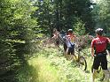 570Schieben.UmgefallenerBaum.Blessberg