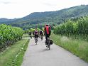 407Radeln.Weinberge.Michelbach
