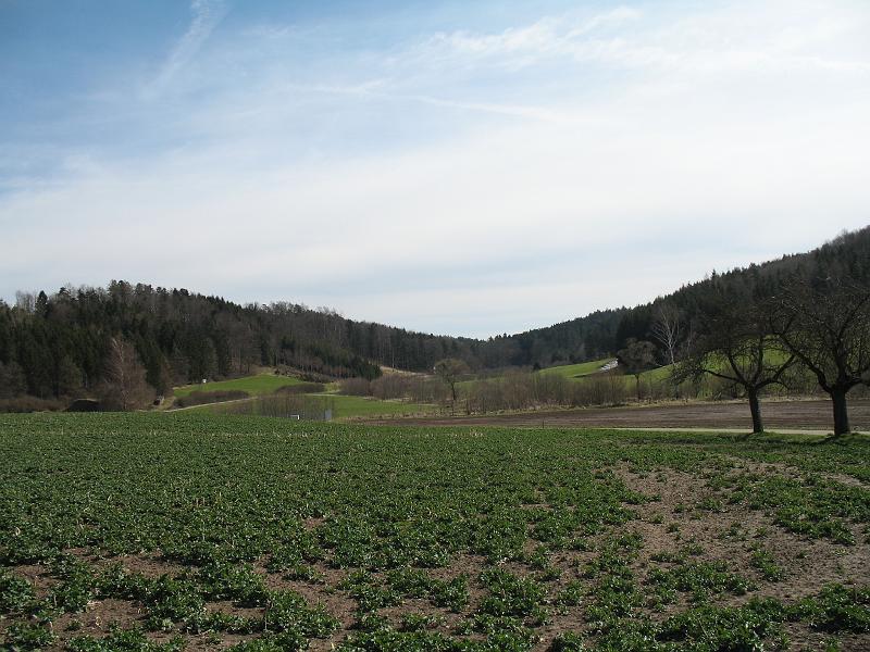 218_Flur.Mackertshofen.jpg