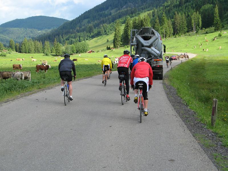 466Viehtrieb.AbfahrtEngetal.jpg