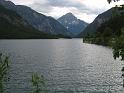 519Plansee