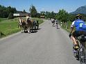 583Pferdekutsche.Kierwang