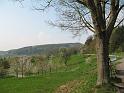 IMG_4195