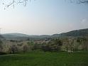 IMG_4196