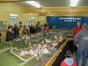 091Modelleisenbahnfreunde