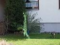 172Pfau