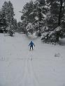669Markus.Schilanglauf.AbfahrtWental