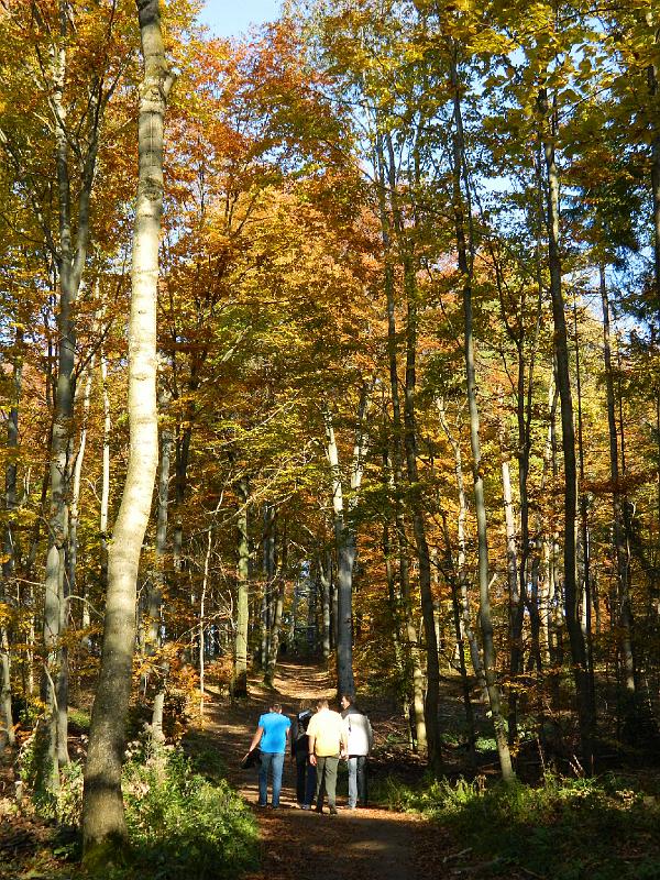 803Wandern2Aalbaeumle.jpg