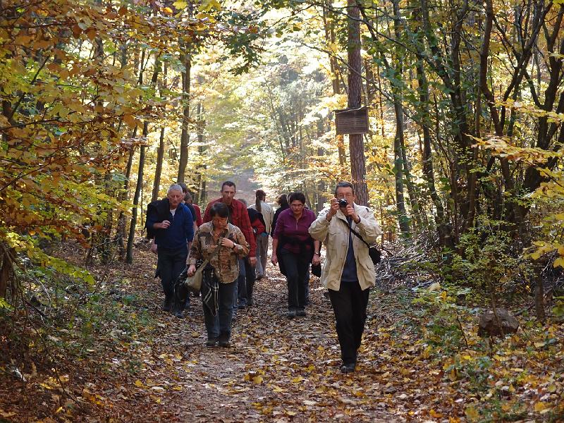 804Wandern2Aalbaeumle.jpg
