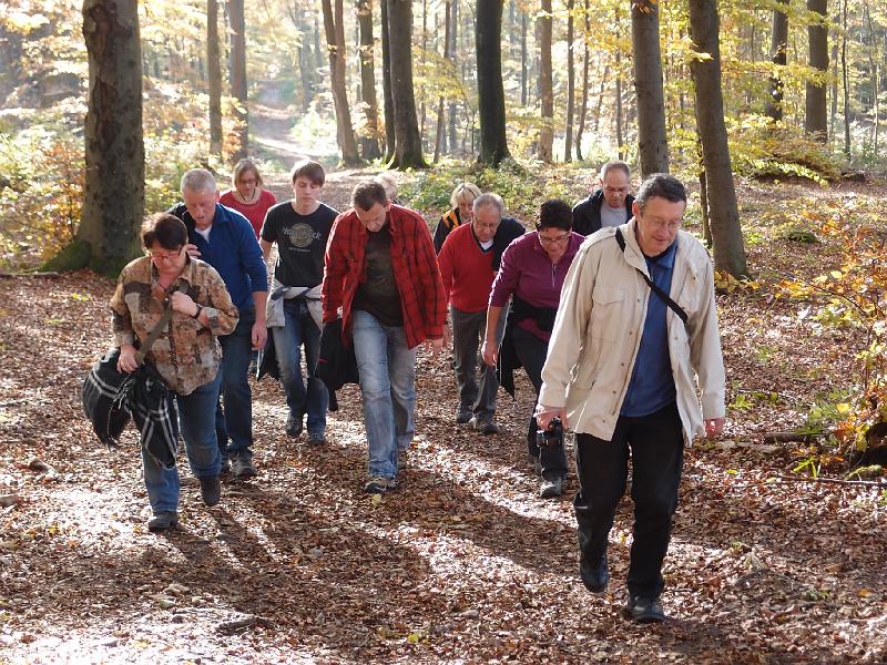 805Wandern2Aalbaeumle.jpg