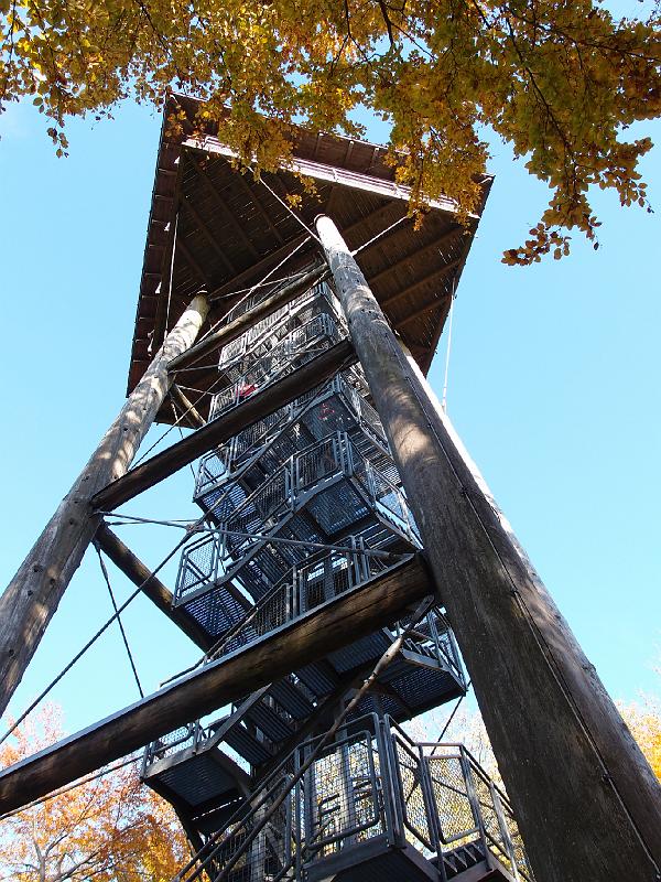 807Aussichtsturm.Aalbaeumle.jpg