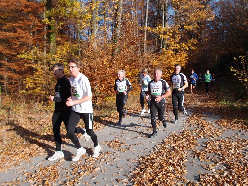 908Rohrwanglauf.jpg