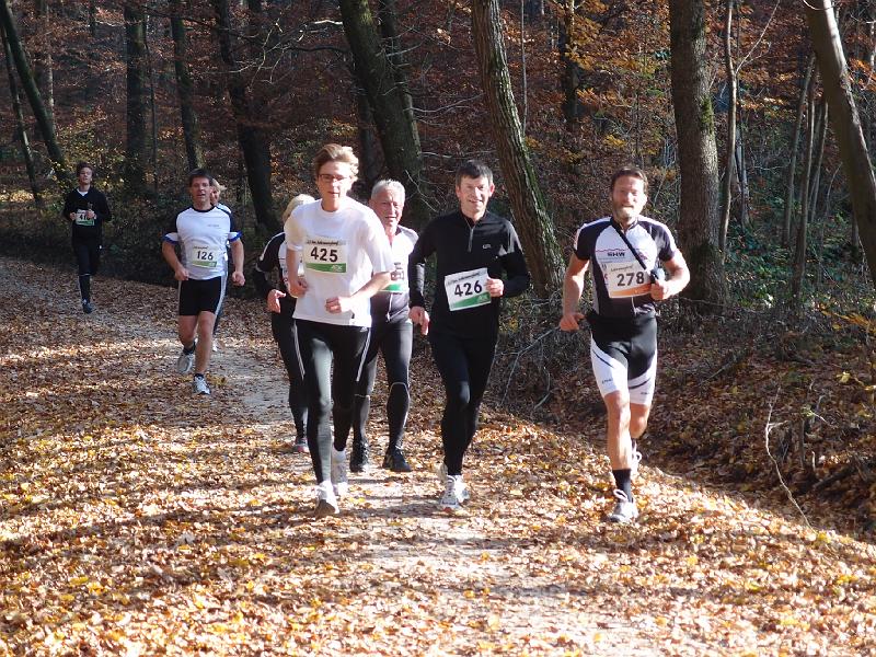 912Rohrwanglauf.jpg