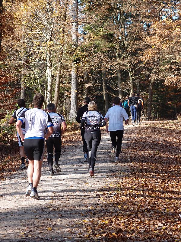 913Rohrwanglauf.jpg