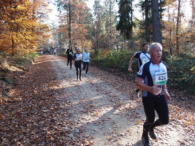 917Rohrwanglauf.jpg