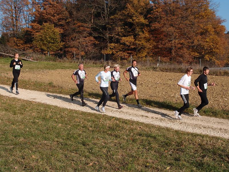 920Rohrwanglauf.jpg