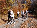 908Rohrwanglauf