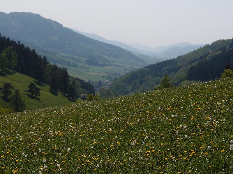 315Blick2Elztal.Landwassereck.jpg