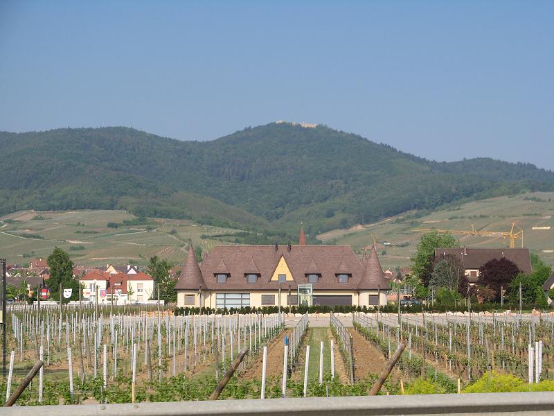 343Blick2Hohlandsbourg.Wintzenheim.jpg