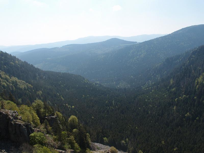 351Vogesen.ColSchlucht.jpg