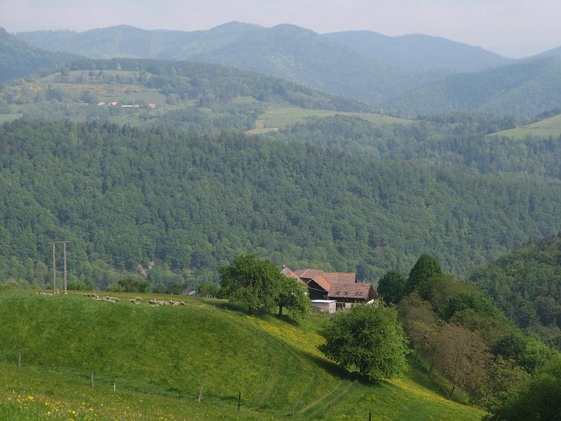 530Voges.SainteMarieAuxMines.jpg