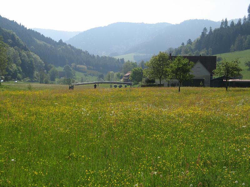 583Schiltersbach.Kinzigtal.jpg