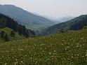 315Blick2Elztal.Landwassereck