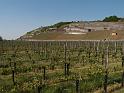 320Kaiserstuhl.Breisach
