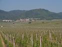 341Blick2Hohlandsbourg.Eguisheim