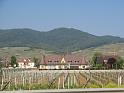 343Blick2Hohlandsbourg.Wintzenheim