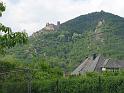 423Blick2ChateauSaintUlrich